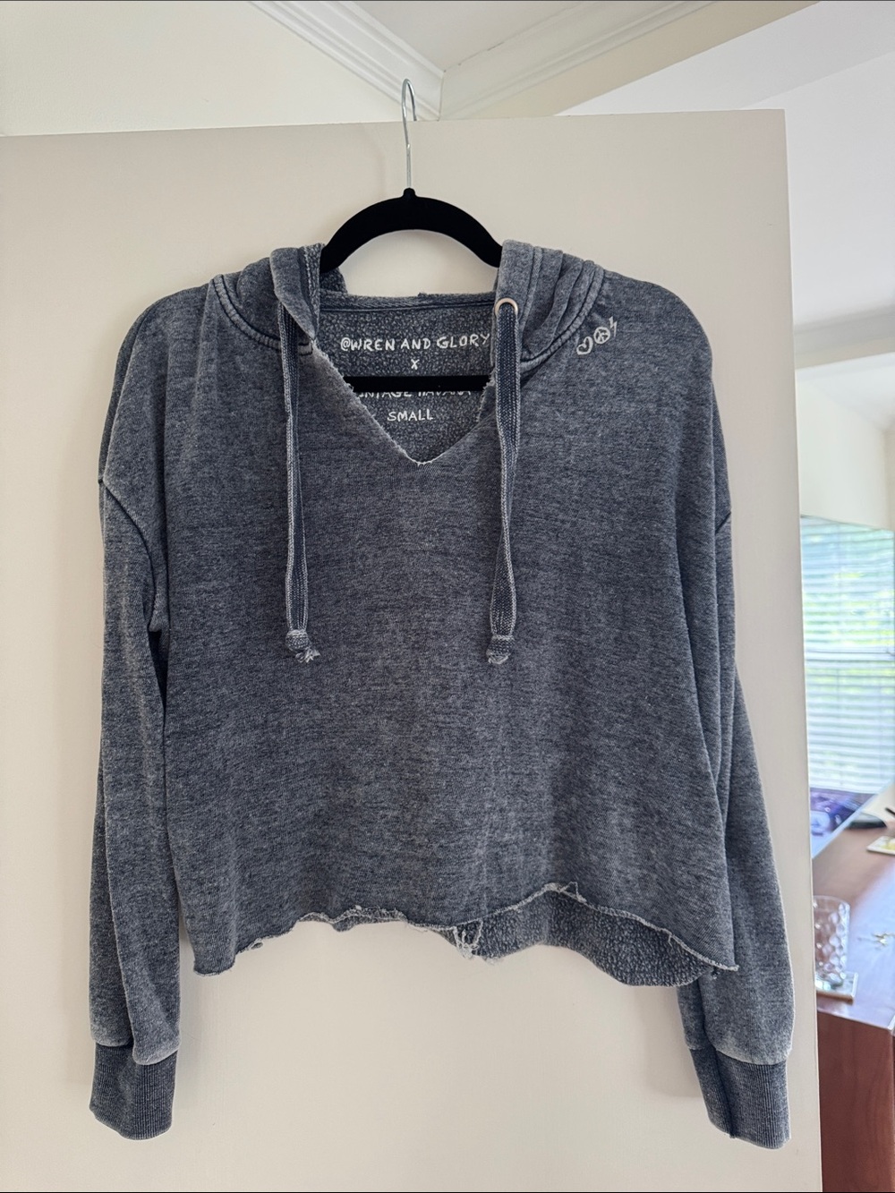 Vintage Havana Washed Gray Cropped Hoodie